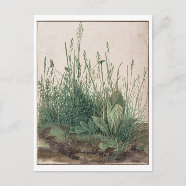 Carte Postale Le gros morceau de Turf par Albrecht Durer (Devant)