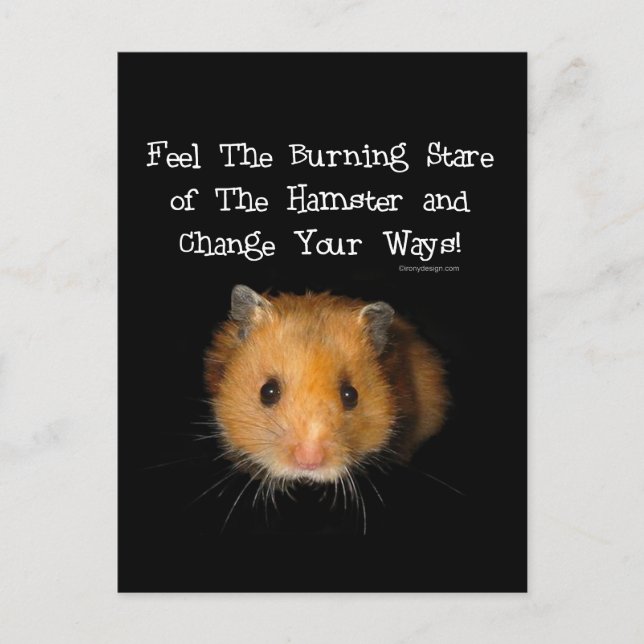 Carte Postale Le Hamster (Devant)