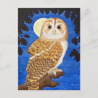 Carte Postale Le hibou fauve