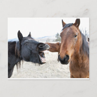 Carte Postale Le Horse Pesterer
