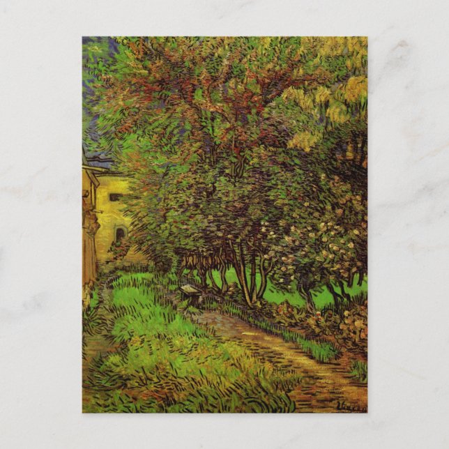 Carte Postale Le Jardin de l'hôpital Saint-Paul par Vincent van  (Devant)