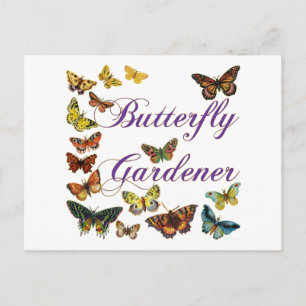 Carte Postale Le jardinier papillon dit :