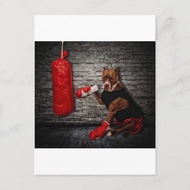Carte Postale Le kit de boxe (Devant)