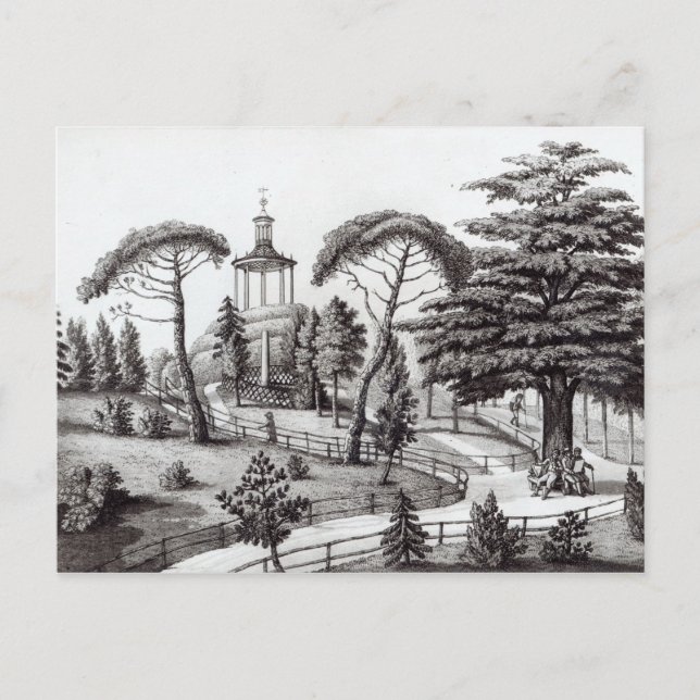 Carte Postale Le Labyrinthe du jardin des Plantes (Devant)