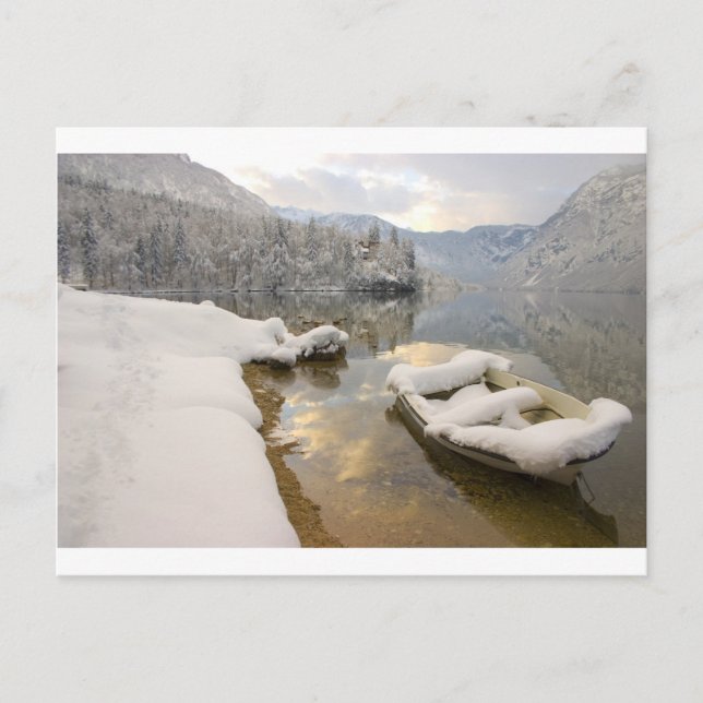 Carte Postale Le lac Bohinj en hiver, Slovénie (Devant)