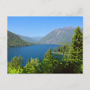 Carte Postale Le lac Cushman en été