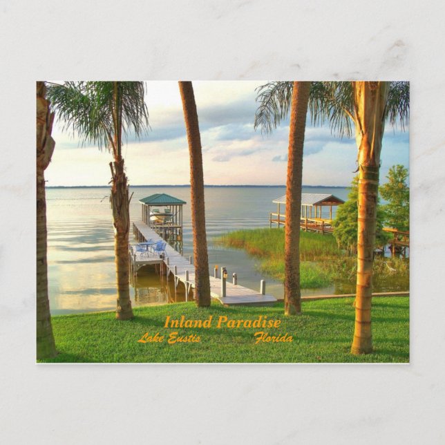 Carte Postale Le lac Eustis (Devant)