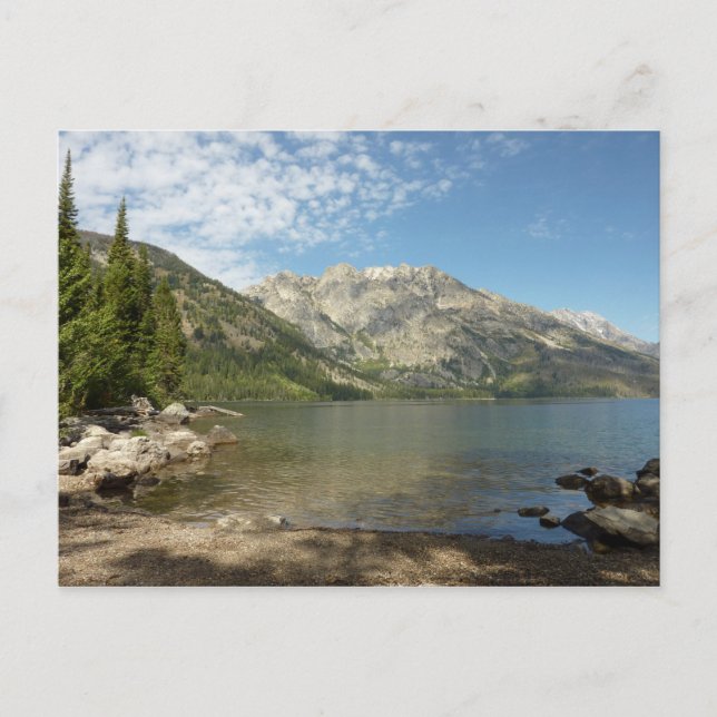 Carte Postale Le lac Jenny dans le parc national de Grand Teton (Devant)