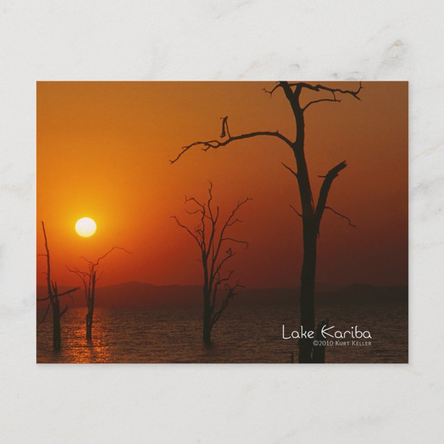 Carte Postale Le lac Kariba (Devant)