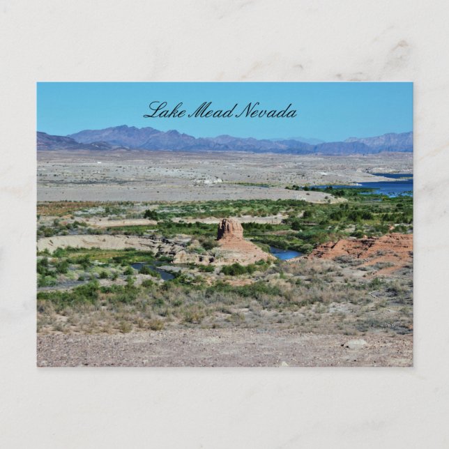Carte Postale Le lac Mead Nevada (Devant)