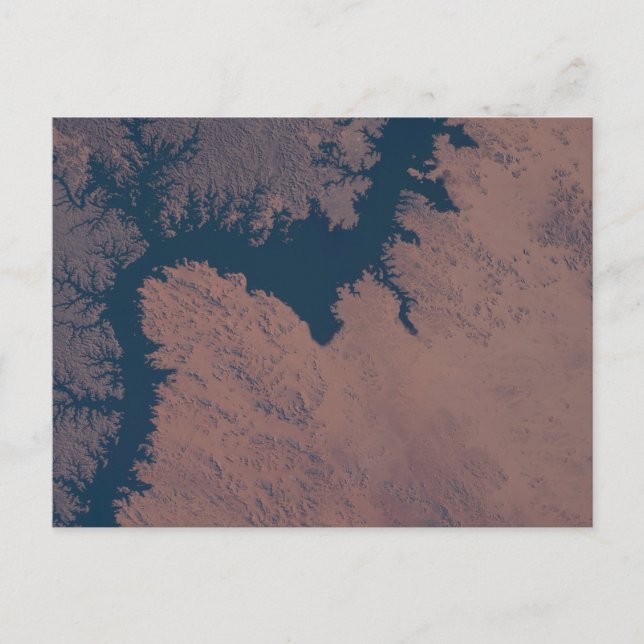 Carte Postale Le lac Nasser (Devant)