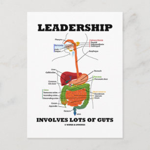 Carte Postale Le Leadership Implique De Nombreux Ingrédients (Hu