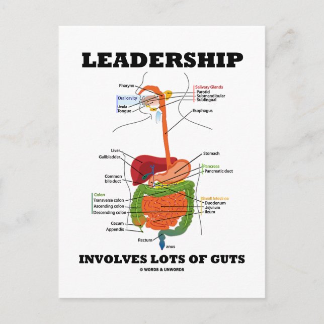 Carte Postale Le Leadership Implique De Nombreux Ingrédients (Hu (Devant)