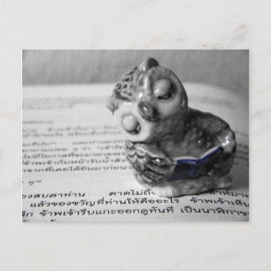 Carte Postale Le lecteur