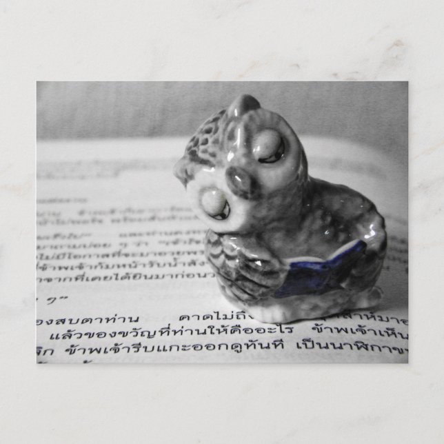 Carte Postale Le lecteur (Devant)