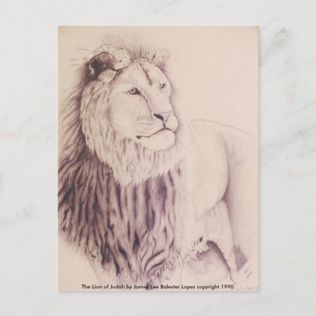 Carte Postale Le Lion de Juda - crayon sur papier 1990 Var 3,... (Devant)