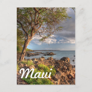 Carte Postale Le littoral de Maui