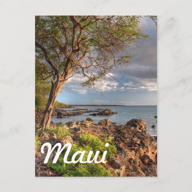 Carte Postale Le littoral de Maui (Devant)