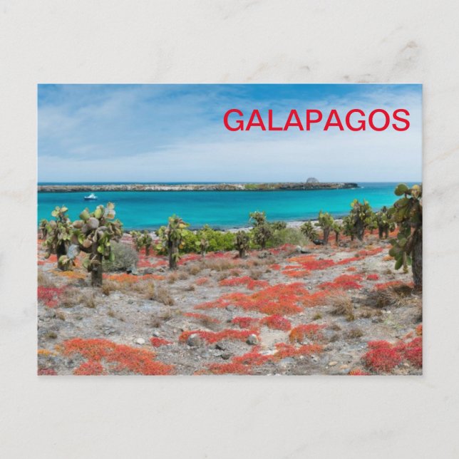 Carte Postale Le littoral des Galapagos (Devant)