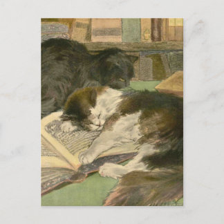 Carte Postale Le livre du chat : Grand panjandrum