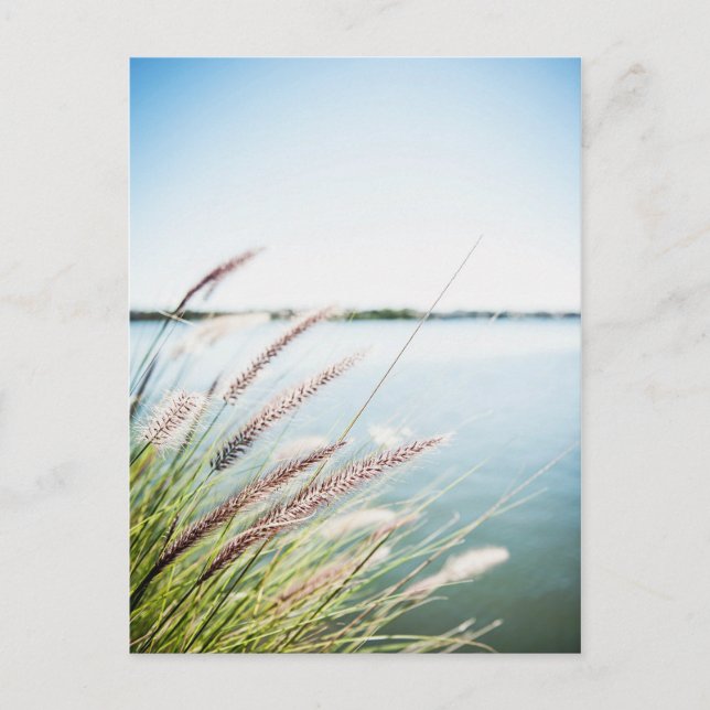 Carte Postale Le long du Saint-Laurent (Devant)