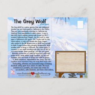 Carte Postale Le loup gris est en danger FEBhh avec le haut