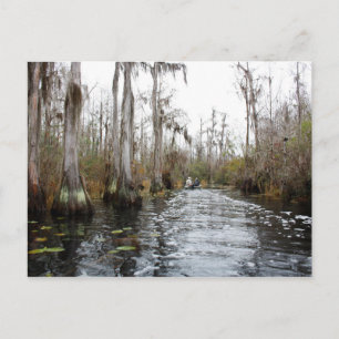 Carte Postale Le marais d'Okefenokee, Géorgie