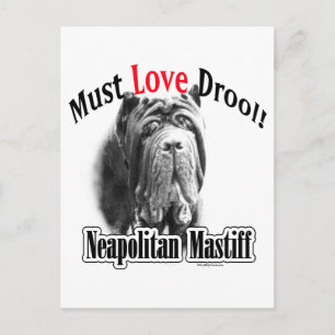 Carte Postale Le Mastiff napolitain doit aimer Drool