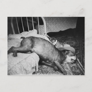 Carte Postale Le matin après Vintage drôle chien ivre