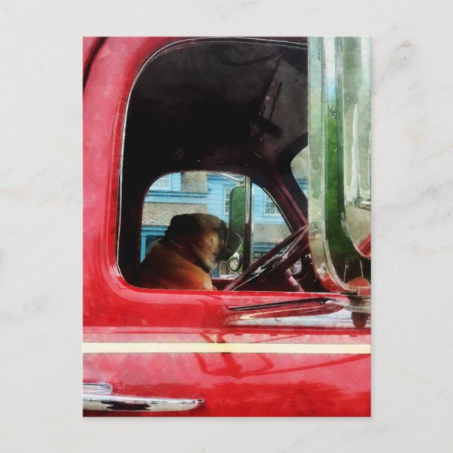 Carte Postale Le meilleur ami des pompiers (Devant)