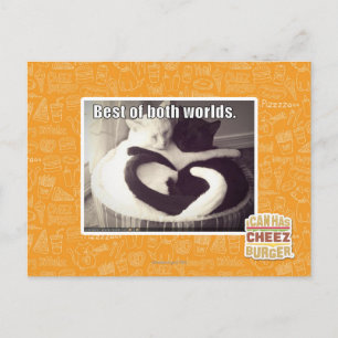 Carte Postale Le meilleur des deux mondes.