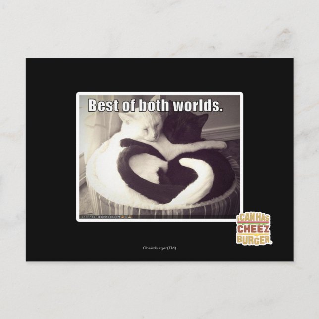 Carte Postale Le meilleur des deux mondes. (Devant)