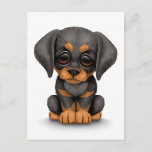 Carte Postale Le mignon Doberman Pinscher Chien de Chien de Chie