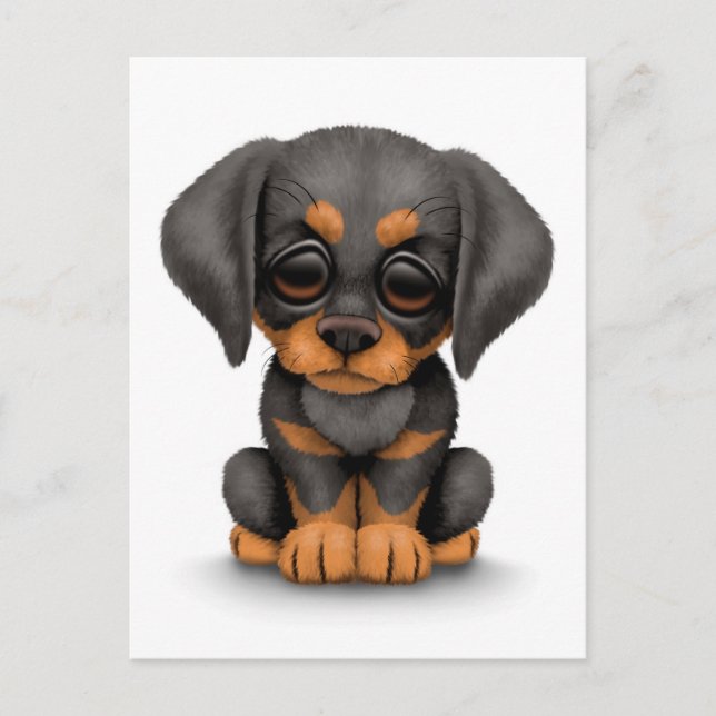 Carte Postale Le mignon Doberman Pinscher Chien de Chien de Chie (Devant)