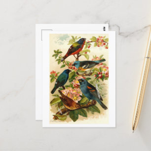 Carte Postale Le monde des oiseaux nord-américains, tzel Gustav 