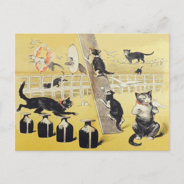 Carte Postale Le Monde Du Chat (Devant)
