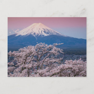Carte Postale Le mont Fuji et les fleurs de cerisiers