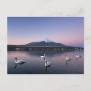 Carte Postale Le Mont Fuji Lac Yamanaka avec cygnes