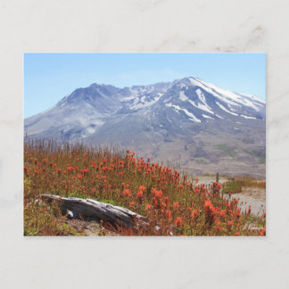 Carte Postale Le Mont Saint-Hélène Fleur sauvage