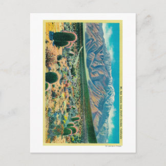 Carte Postale Le mont San Jacinto du jardin du diable