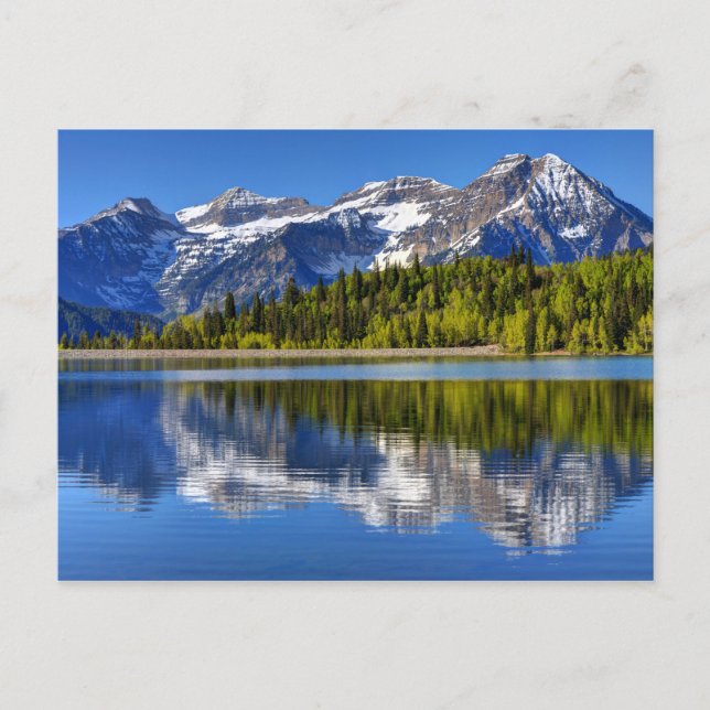 Carte Postale Le Mont Timpanogos Reflet Dans La Plate Du Lac Sil (Devant)