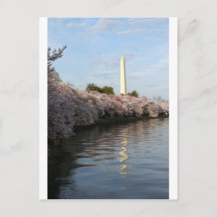 Carte Postale Le monument de Cherry Blossom Washington
