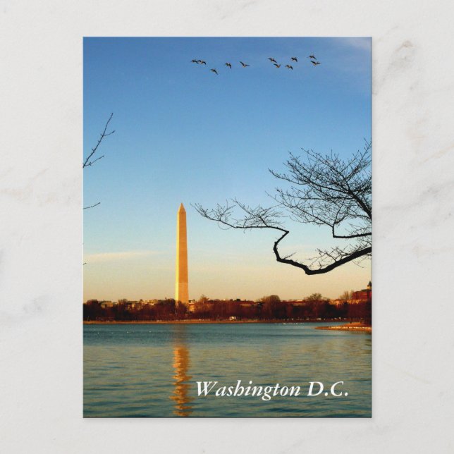 Carte Postale Le Monument de Washington (Devant)