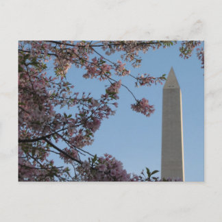 Carte Postale Le monument de Washington