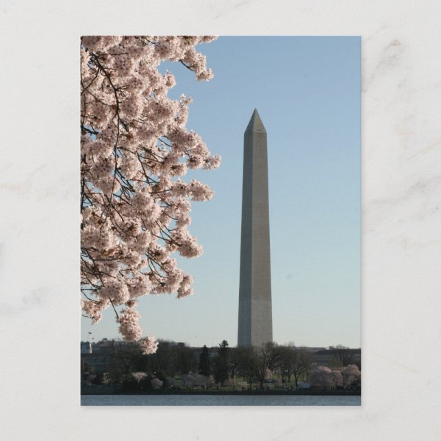 Carte Postale Le monument de Washington (Devant)