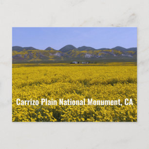 Carte Postale Le monument national de Carrizo Plain