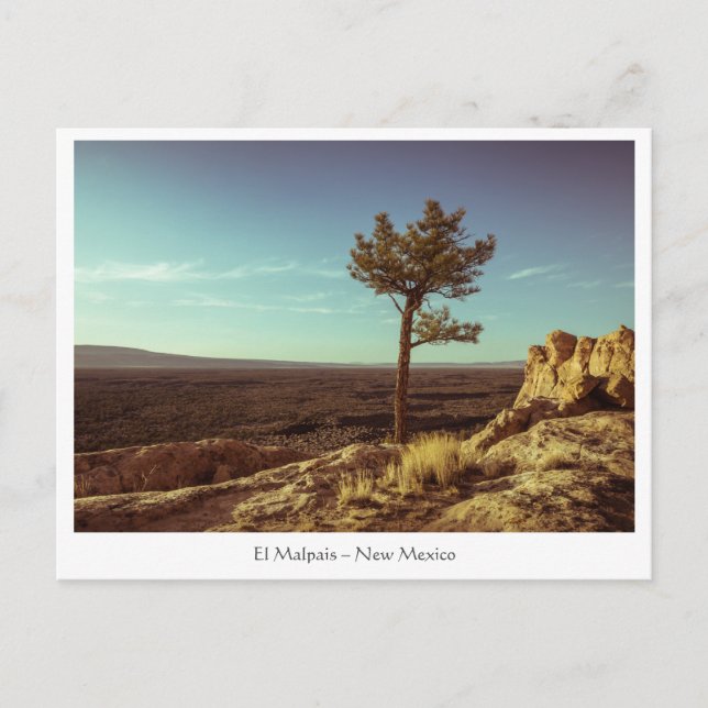 Carte Postale Le Monument national d'El Malpais (Devant)