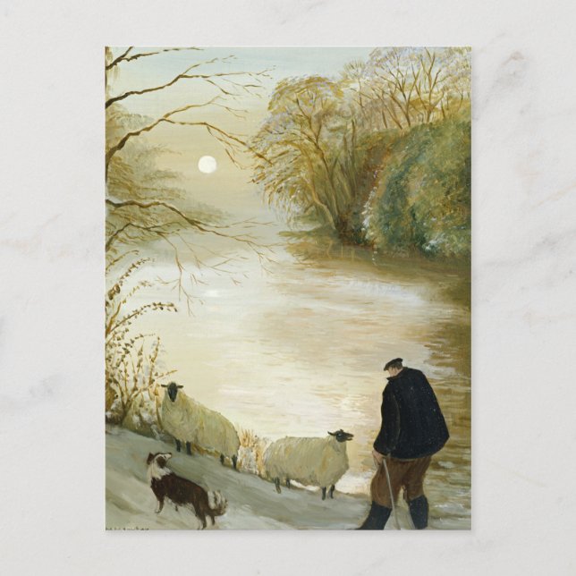 Carte Postale Le mouton errant (Devant)