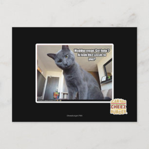 Carte Postale Le moyen de Wadya "obtiennent l'aide" ?