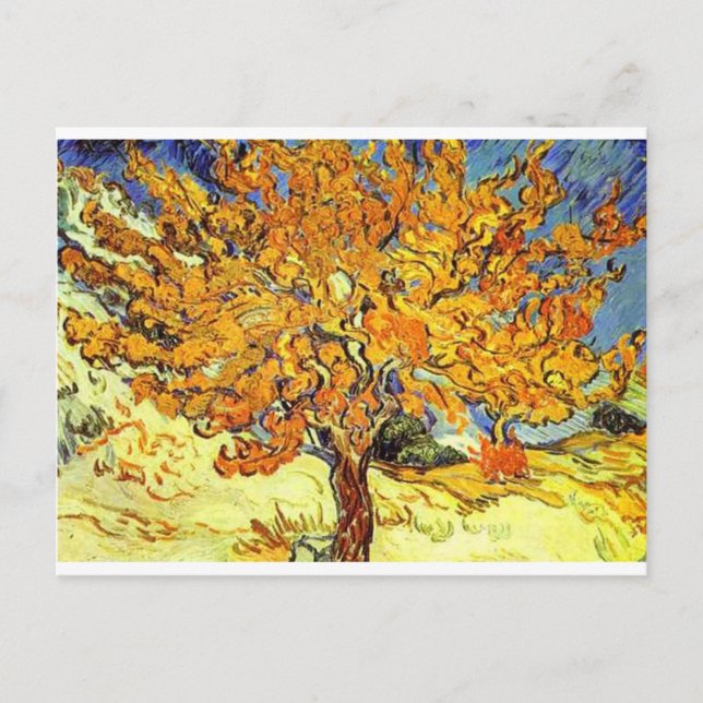Carte Postale Le Mulberry Tree, Vincent Van Gogh (Devant)